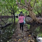 0226_ナンマドール2