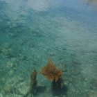 0305_きれいな海